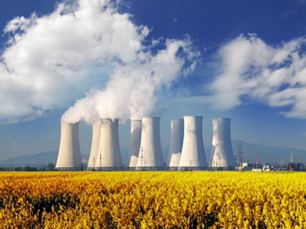 Cromatografía iónica por combustión 