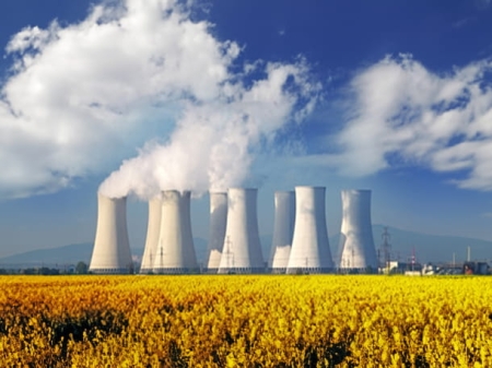 Cromatografía iónica por combustión 